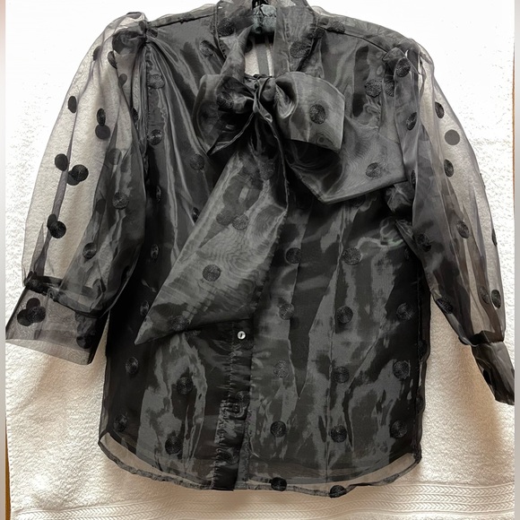 Zara Womens Sheer Polka Dot Blouse with Bow Tie - Picture 3 of 6